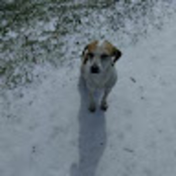 Meet your Posher, Soledad - Picture 1 of 1